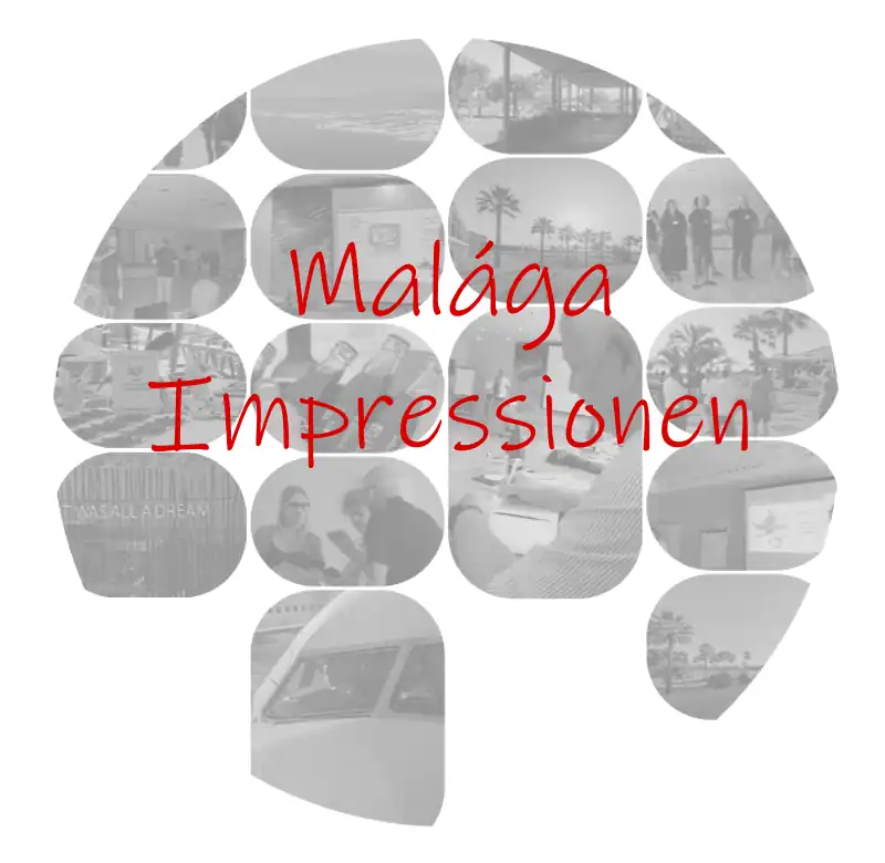 systematik intern | Kategorie 3 BBES Malaga Kongress