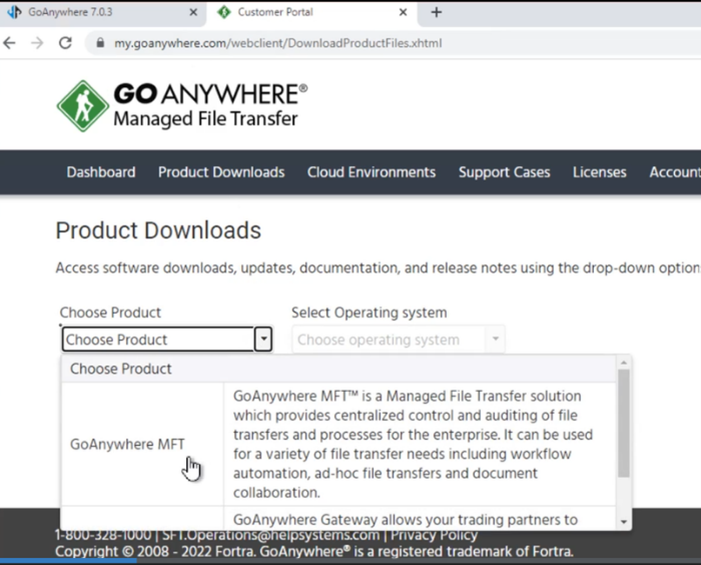 GoAnywhere Leitfäden und Handbücher 4 GoAnywhere Leitfäden und Handbücher | systematik GmbH